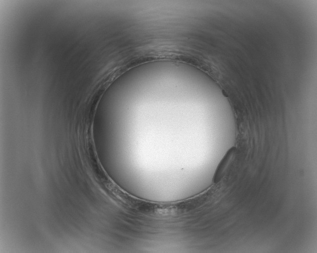 X0000062130744200512090950