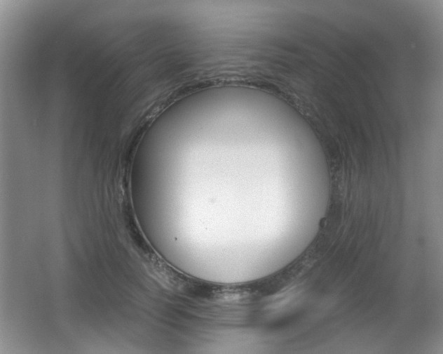 X0000062130746200512090950