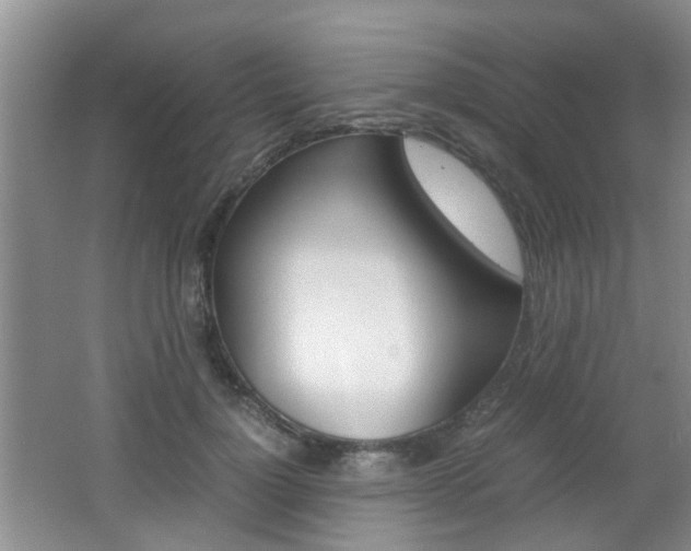 X0000062130748200512090950