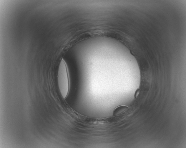 X0000062130751200512090950