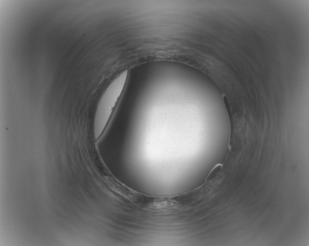 X0000062130752200512090950