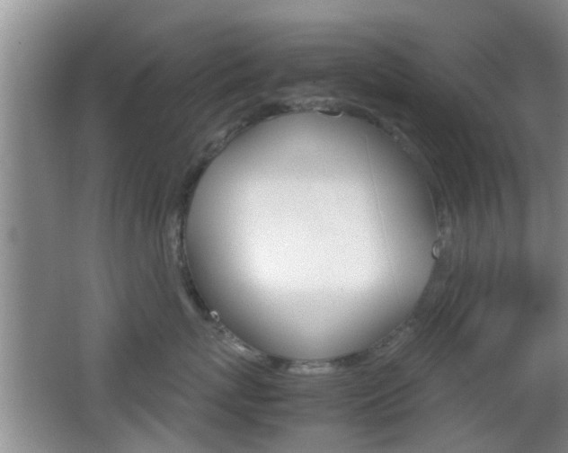X0000062130767200512090950