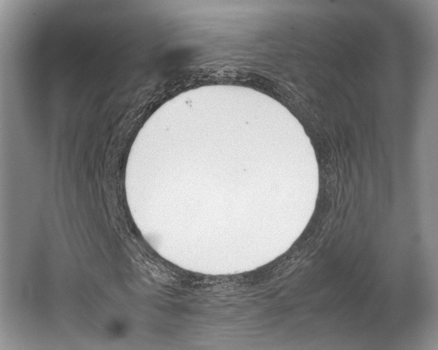 X0000062130769200512090950