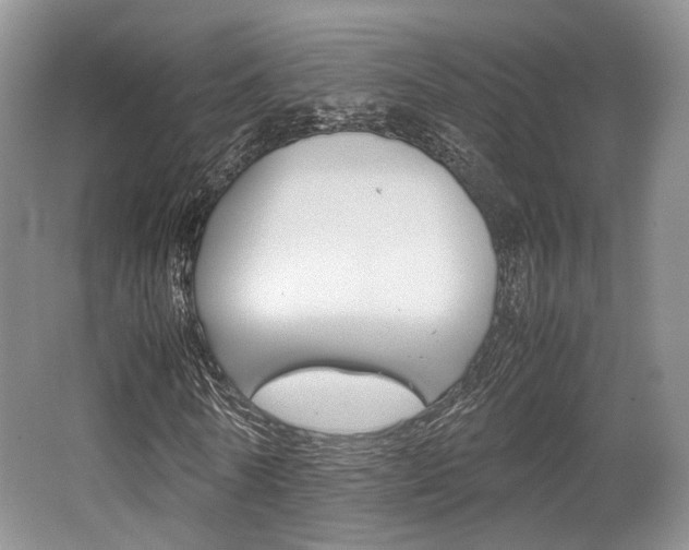 X0000062130770200512090950