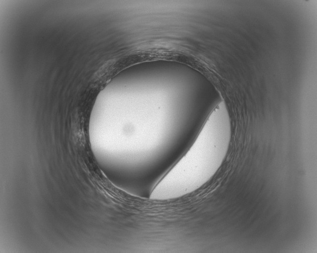 X0000062130771200512090950