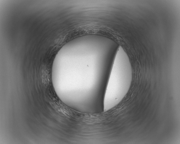 X0000062130772200512090950