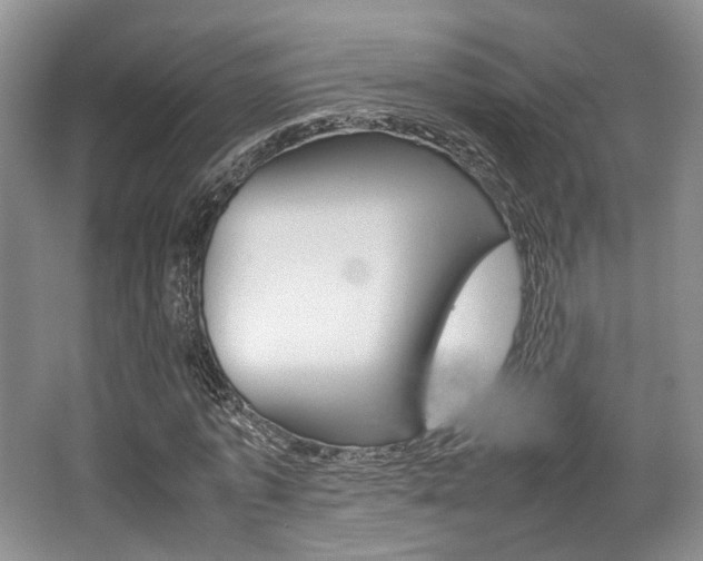 X0000062130773200512090950