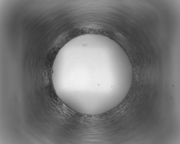 X0000062130774200512090950