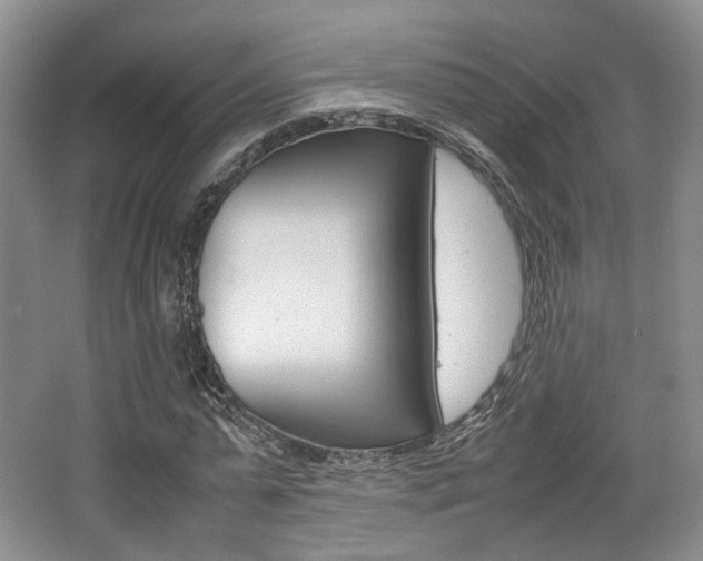 X0000062130775200512090950