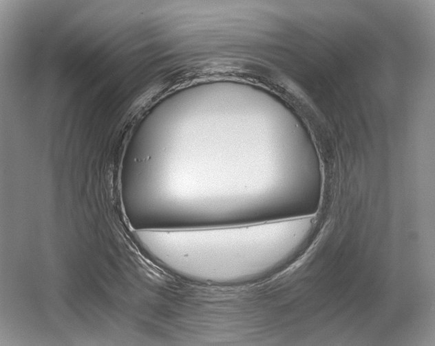 X0000062130777200512090950