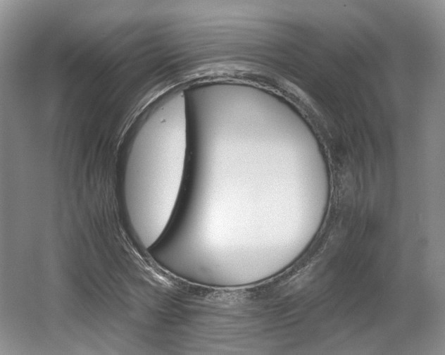 X0000062130778200512090950