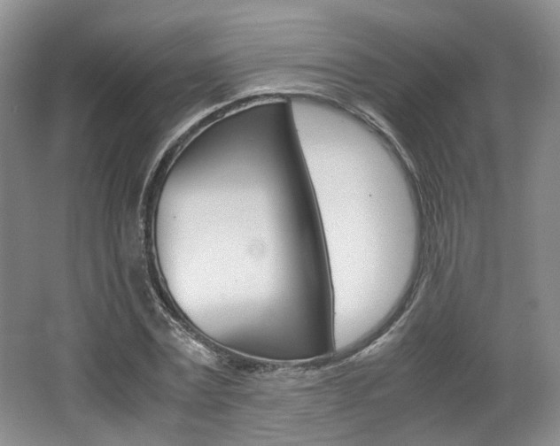 X0000062130779200512090950