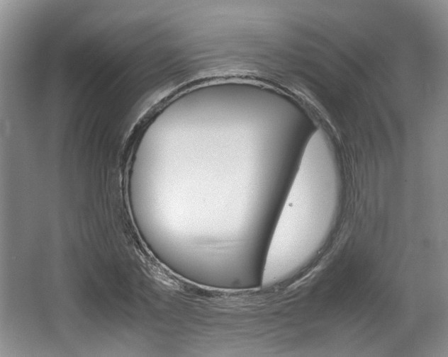 X0000062130781200512090949