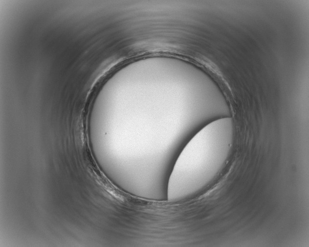 X0000062130782200512090949