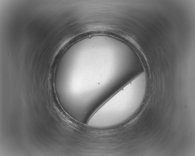 X0000062130783200512090949