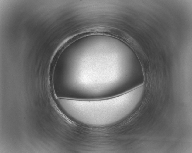 X0000062130784200512090949