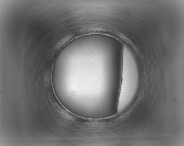 X0000062130785200512090949