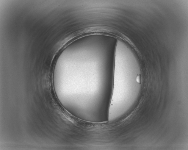 X0000062130786200512090949