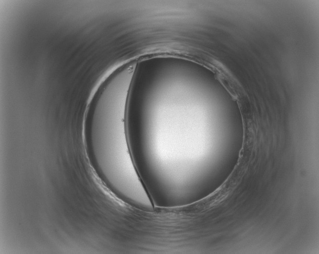 X0000062130788200512090949