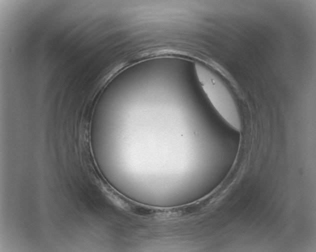 X0000062130793200512090949