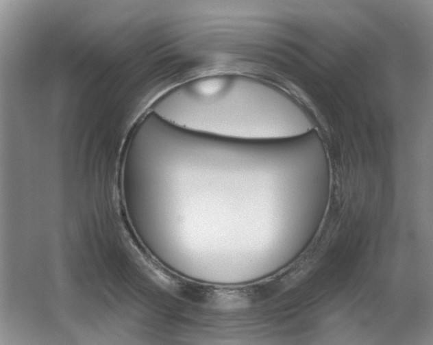 X0000062130794200512090949