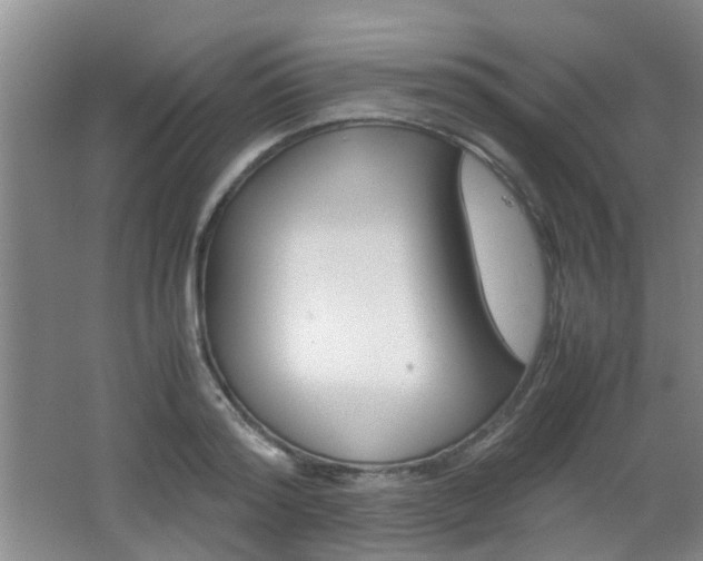 X0000062130796200512090949