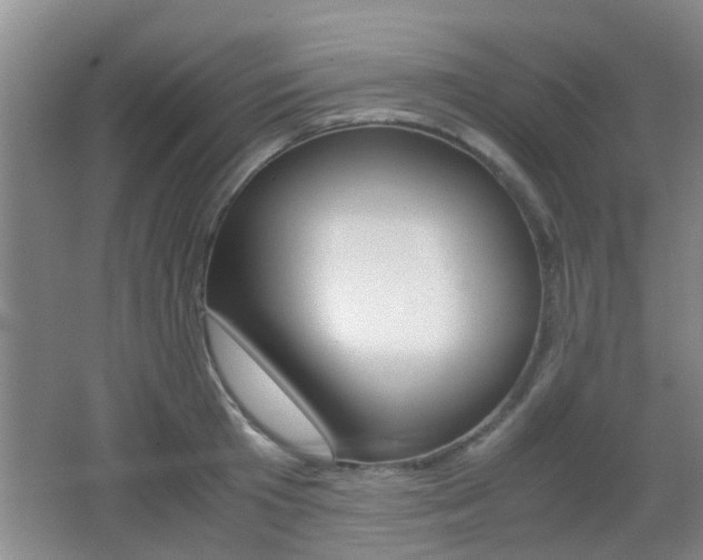 X0000062130801200512090949