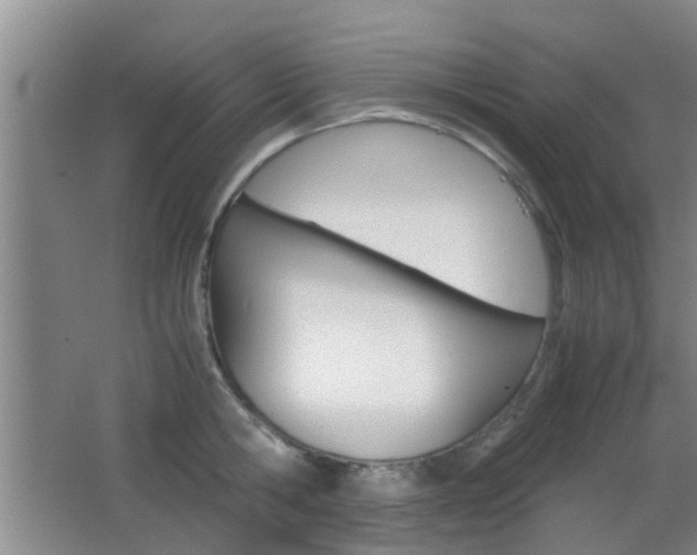 X0000062130806200512090949