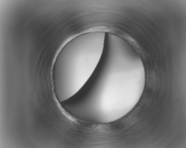 X0000062130808200512090949