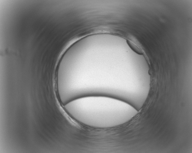 X0000062130811200512090949