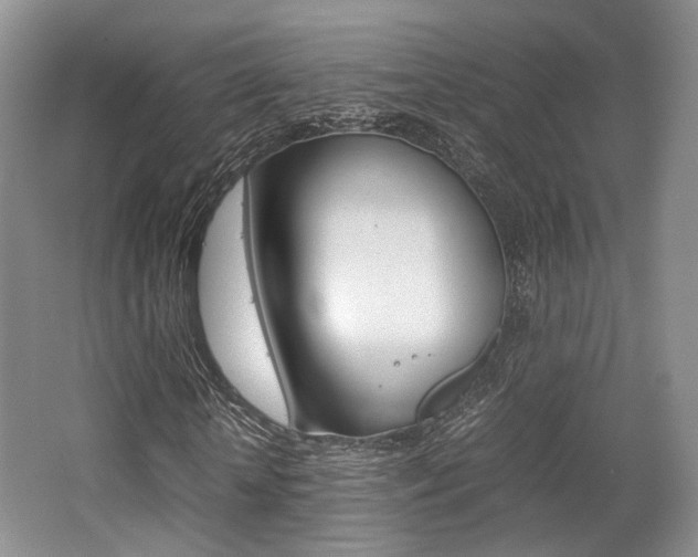 X0000062130818200512090948