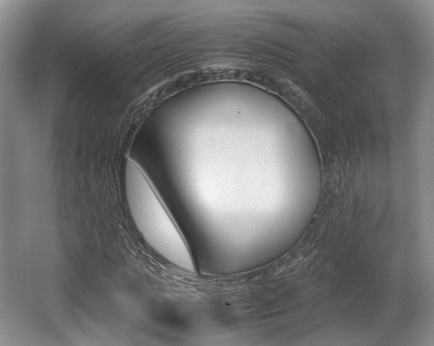 X0000062130821200512090948