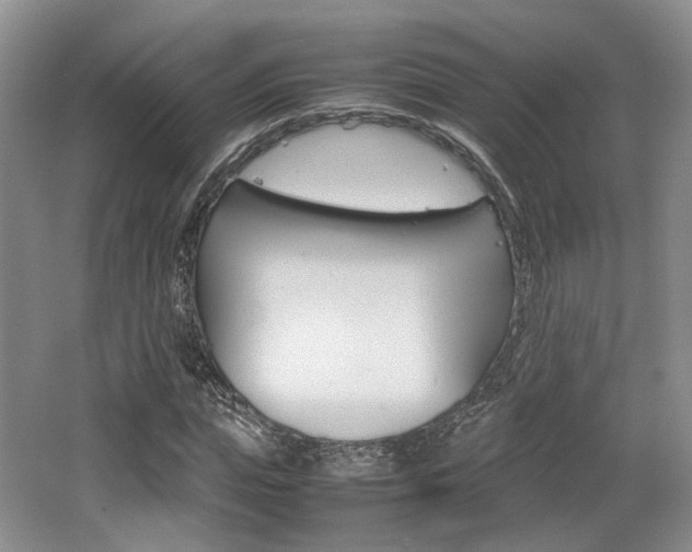 X0000062130823200512090948