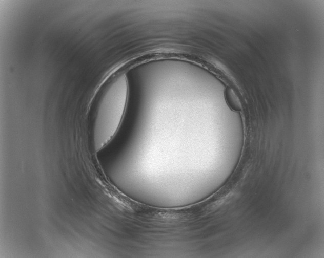X0000062130829200512090948
