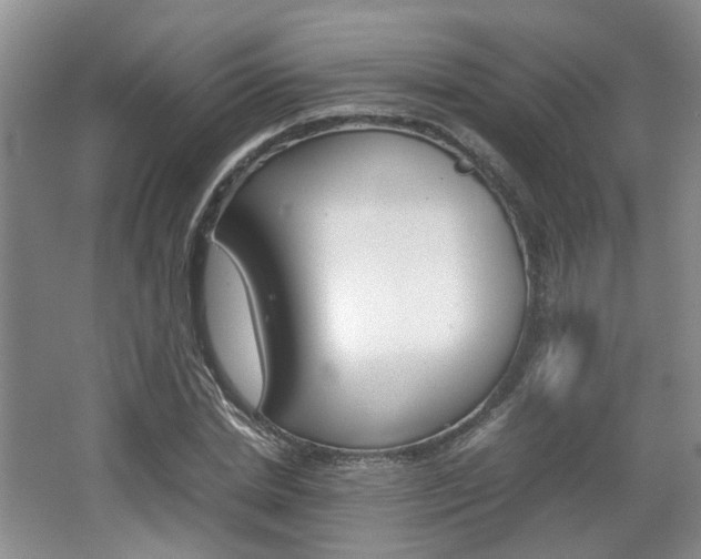X0000062130830200512090948