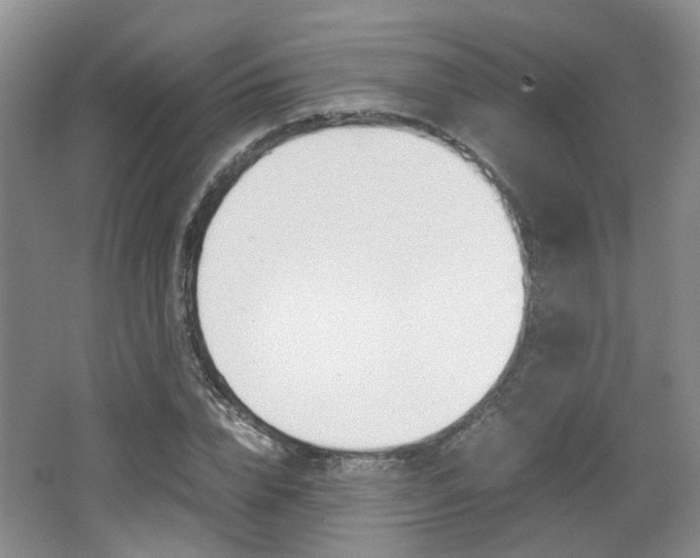 X0000062130832200512090948