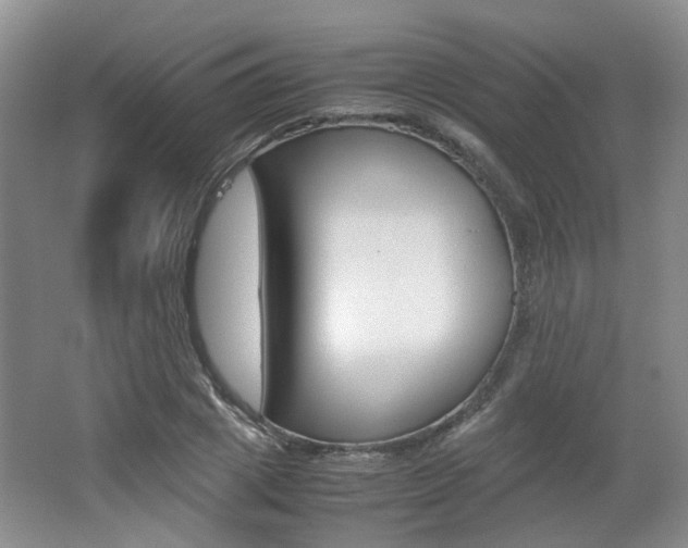 X0000062130833200512090948