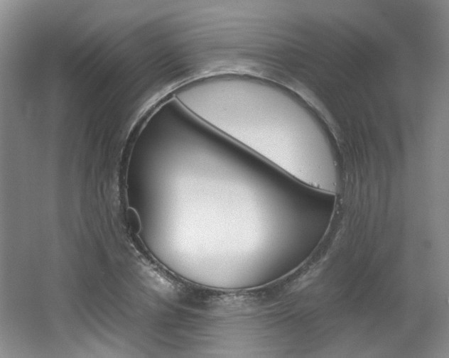 X0000062130834200512090948