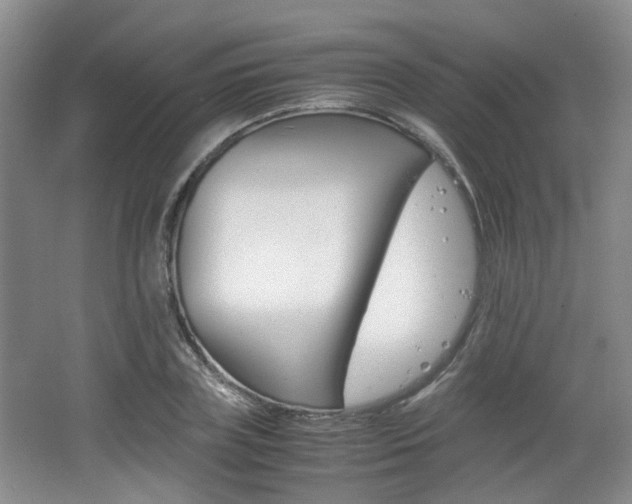 X0000062130835200512090948