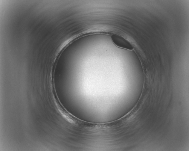 X0000062130842200512090949