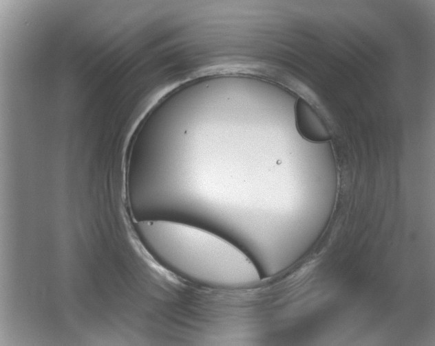 X0000062130844200512090949