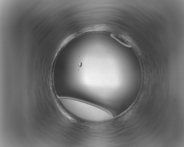 X0000062130850200512090949
