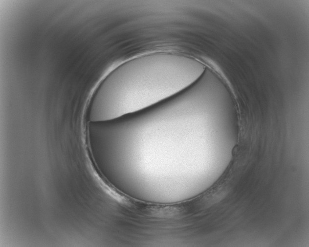 X0000062130851200512090949