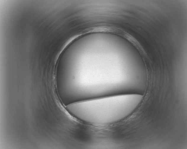 X0000062130852200512090949