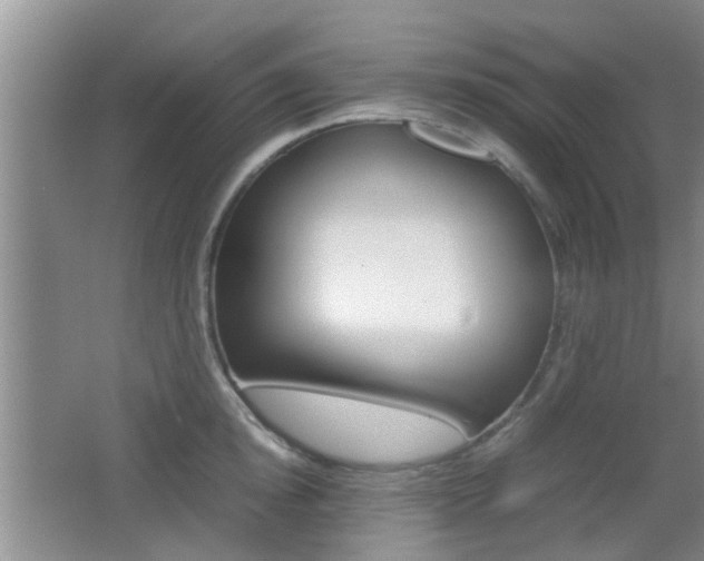 X0000062130854200512090949