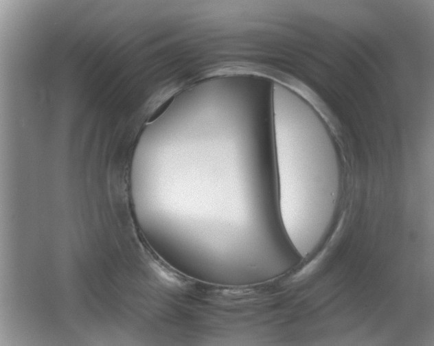X0000062130857200512090949