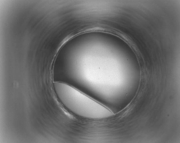 X0000062130858200512090949