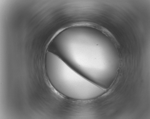 X0000062130860200512090949