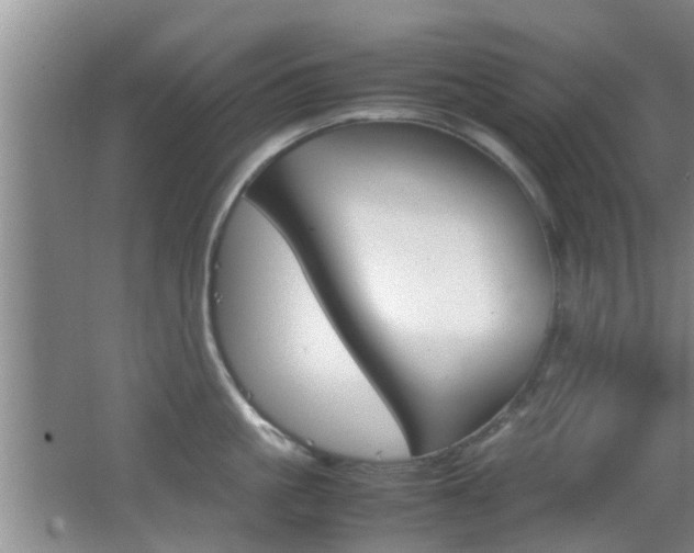 X0000062130861200512090949