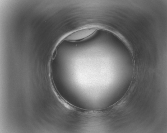 X0000062130862200512090949